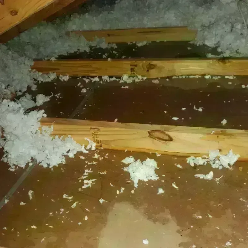 Attic Water Damage in Whitehall, MT